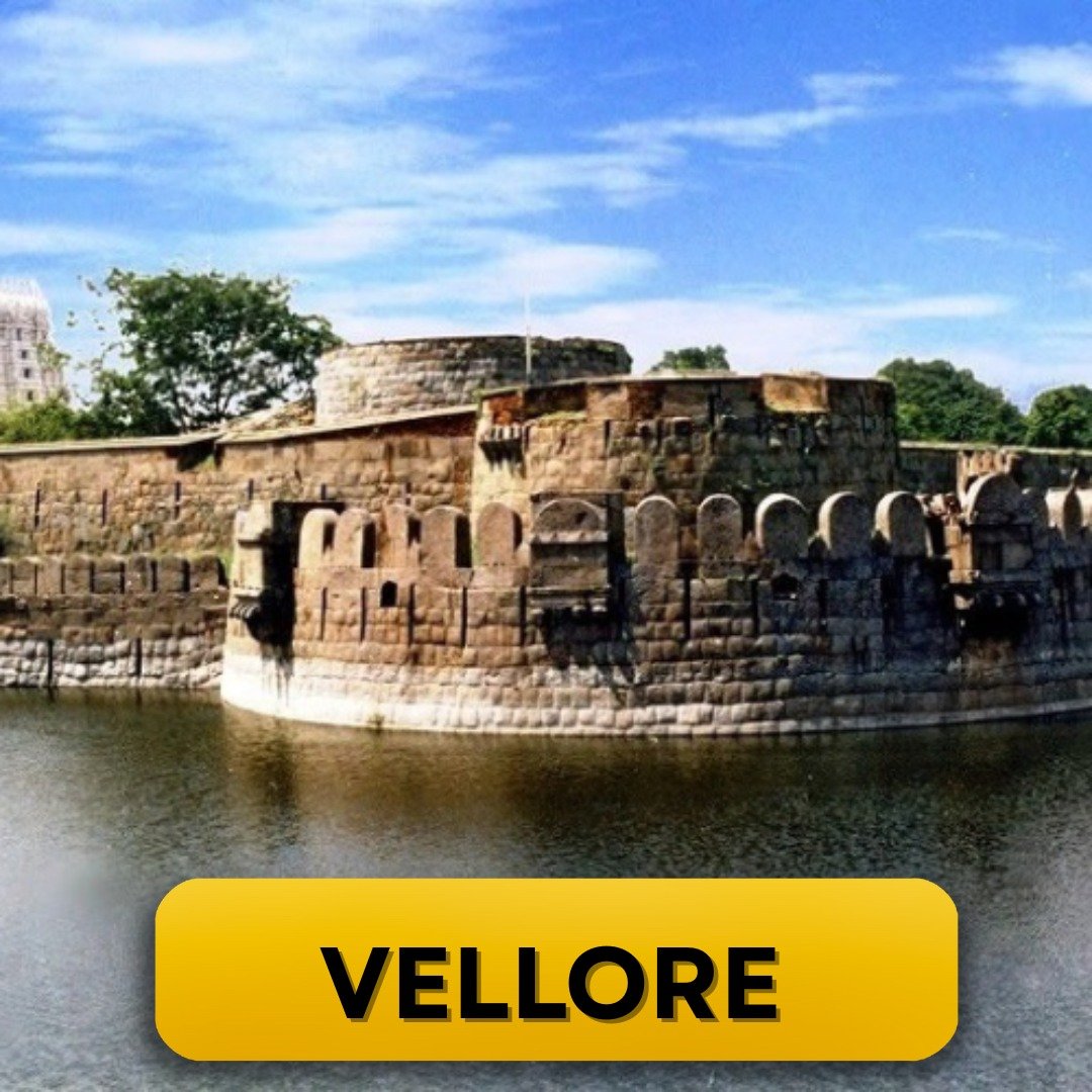 WhatsApp Image 2025-03-10 at 11.18.50 AM (1)