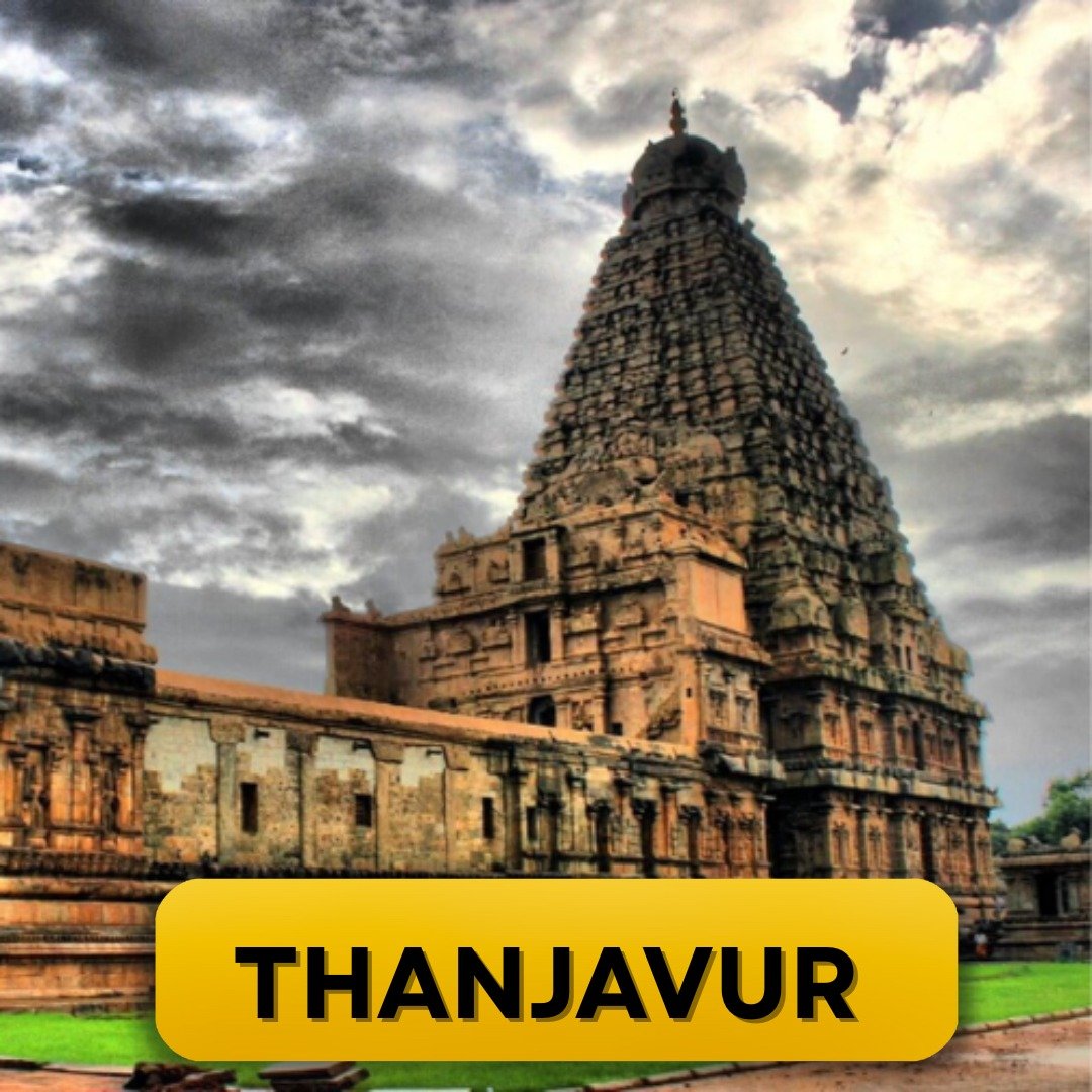 WhatsApp Image 2025-03-10 at 11.18.50 AM (2)