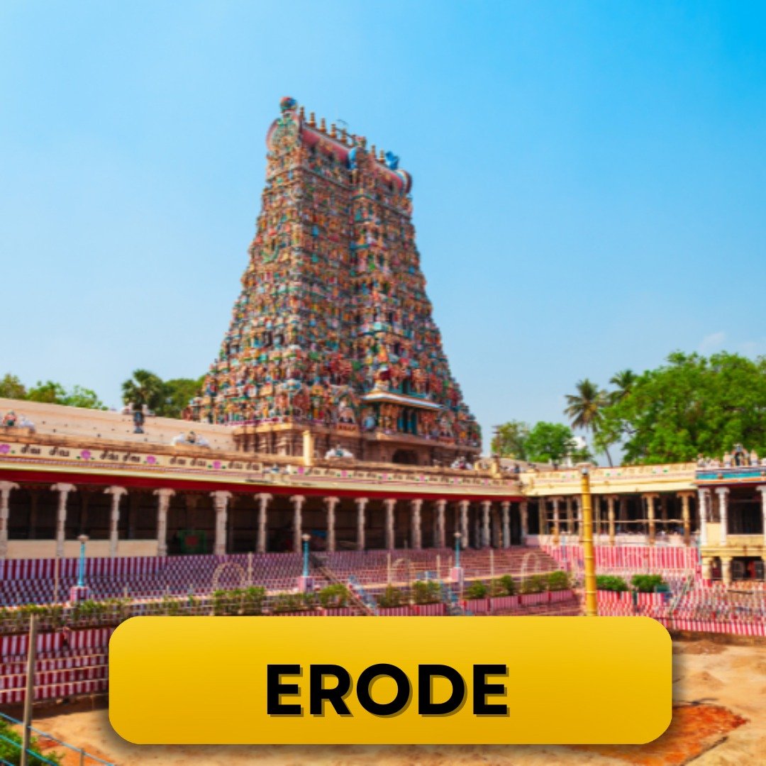 WhatsApp Image 2025-03-10 at 11.18.50 AM (3)