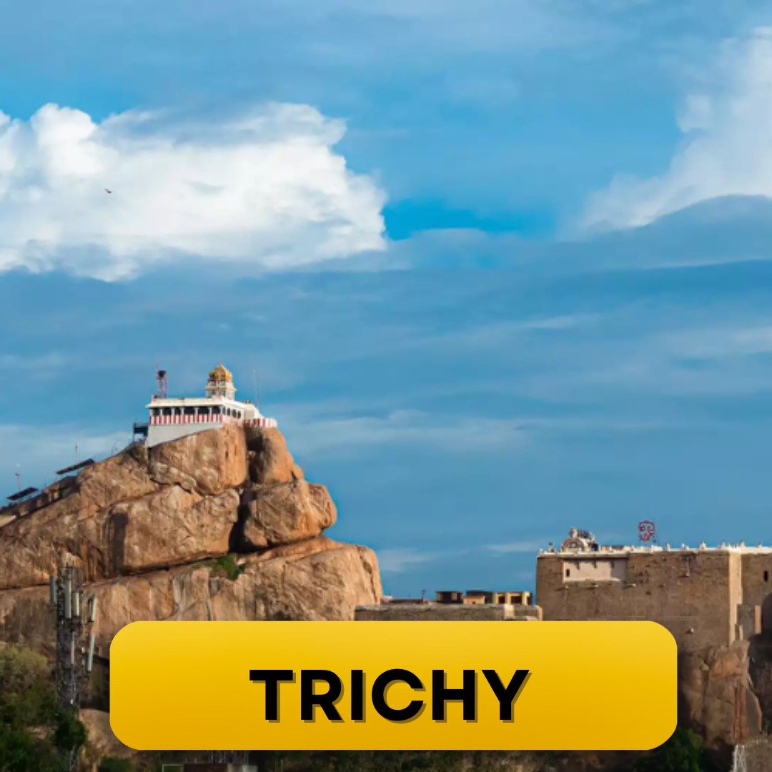 WhatsApp Image 2025-03-10 at 11.18.50 AM (4)