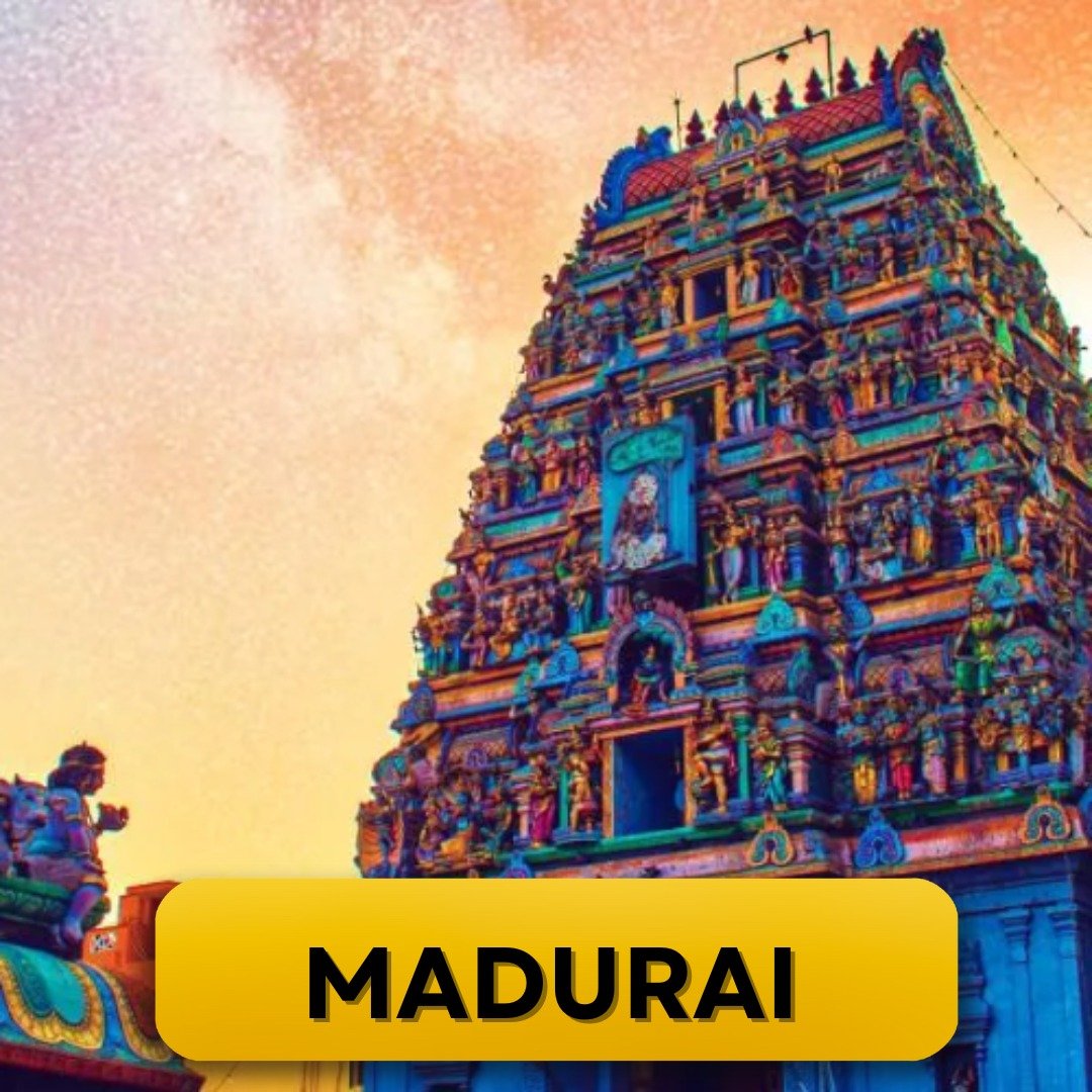 WhatsApp Image 2025-03-10 at 11.18.50 AM (5)