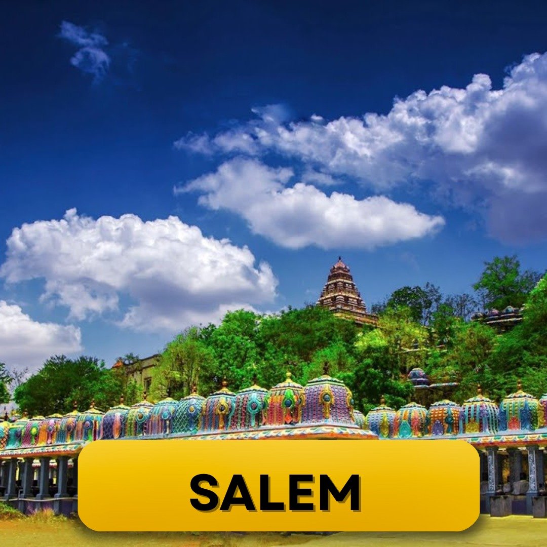 WhatsApp Image 2025-03-10 at 11.18.50 AM